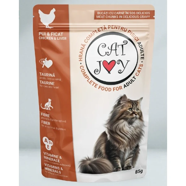 PET.CAT JOY PLIC 85GR PUI(24B)