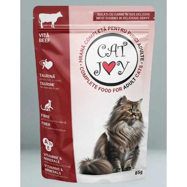 PET.CAT JOY PLIC 85GR VITA(24B)