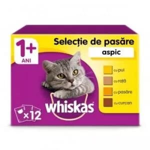 PET.WHISKAS PLIC 85GR.JUNIOR PUI(28B)