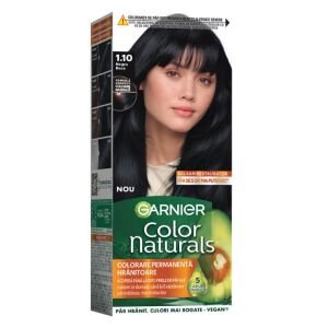 GARNIER NATURALS VOPSEA 1.10 NEGRU RECE(12B)